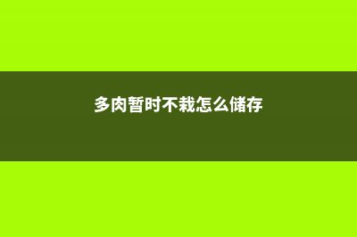 家里的多肉再不管，3天立马死翘翘，想救活都难！ (多肉暂时不栽怎么储存)