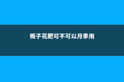 栀子月季···不开花？学1招，想开几次开几次！ (栀子花肥可不可以月季用)