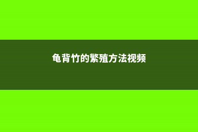 龟背竹的繁殖方法 (龟背竹的繁殖方法视频)