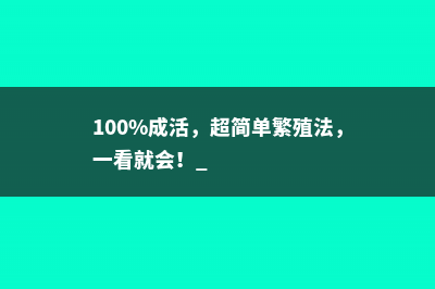 100%成活，超简单繁殖法，一看就会！ 