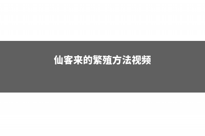 仙客来的繁殖方法 (仙客来的繁殖方法视频)