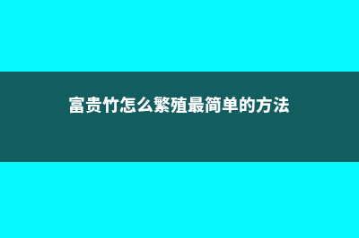 富贵竹怎么繁殖 (富贵竹怎么繁殖最简单的方法)