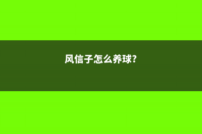 风信子怎么养 (风信子怎么养球?)