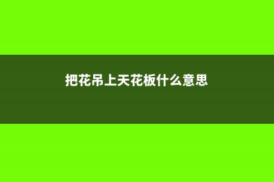 把花吊上天花板，呼呼冒成大花球，好看又省地儿！ (把花吊上天花板什么意思)