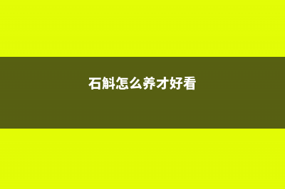 石斛怎么养才好 (石斛怎么养才好看)