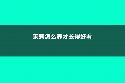 茉莉怎么养才长得好 (茉莉怎么养才长得好看)