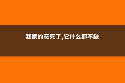 你家的花死透了？别扔，1招救活蹭蹭长！ (我家的花死了,它什么都不缺)