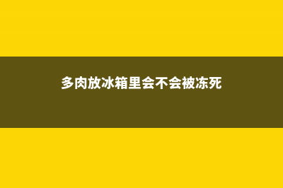 多肉塞到冰箱里，竟然越变越红，砰砰爆出5个头！ (多肉放冰箱里会不会被冻死)