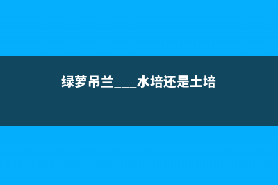 绿萝吊兰...水培总黄叶！只要3步，立马变绿！ (绿萝吊兰...水培还是土培)