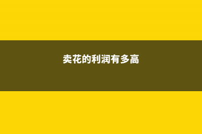 卖花叶子年入百万？这叶子看完我也要买！ (卖花的利润有多高)