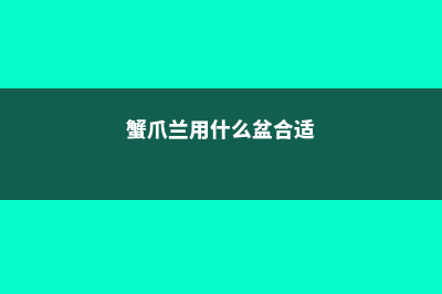 蟹爪兰用什么盆合适 (蟹爪兰用什么盆合适)