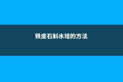 铁皮石斛水培的方法 (铁皮石斛水培的方法)