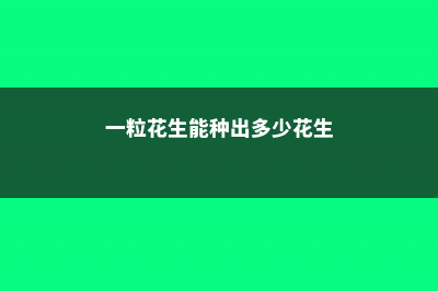 1粒花生扔盆里，长大竟比绿萝还美，1棵结了50个果！ (一粒花生能种出多少花生)