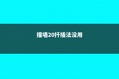 “撞墙2.0扦插法”，插啥活啥，再不用买花了！ (撞墙20扦插法没用)