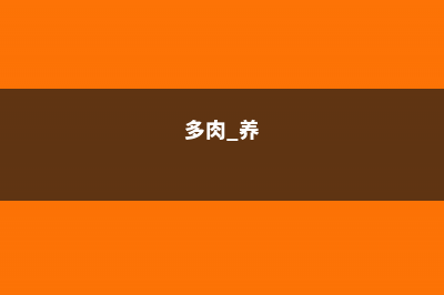 别再把多肉养成短命鬼，教你1招，能多活10年！ (多肉 养)