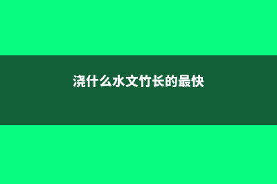 用什么水浇文竹最好 (浇什么水文竹长的最快)