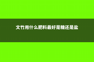 文竹用什么肥料好 (文竹用什么肥料最好是糖还是盐)