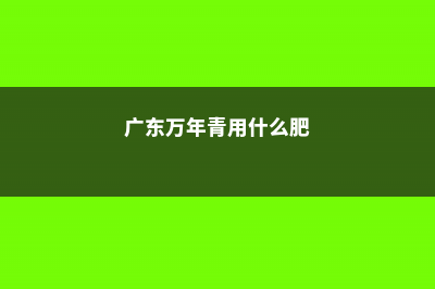 广东万年青用什么肥料 (广东万年青用什么肥)