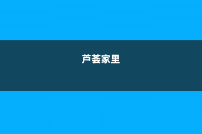 你家的芦荟发财树…从来不开花？只学1招，连开5年不是事！ (芦荟家里)