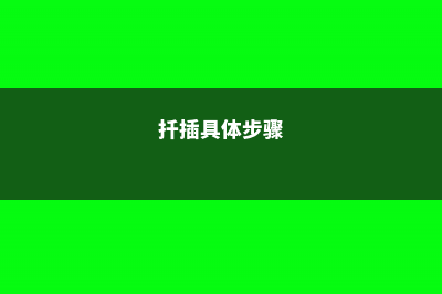 学会这9个扦插绝招，插啥活啥，蹭蹭长出大白根！ (扦插具体步骤)