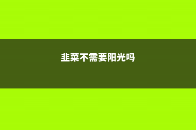 韭菜不用买，阳台种1盆，随吃随割，绿色又健康！ (韭菜不需要阳光吗)