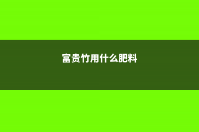 富贵竹用什么肥料 (富贵竹用什么肥料)