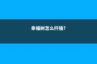 幸福树怎么扦插 (幸福树怎么扦插?)