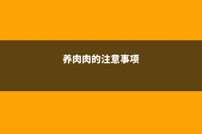 10个养肉误区，你竟然占全了？难怪肉肉死翘翘！ (养肉肉的注意事项)