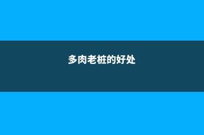 多肉老桩太贵了！只需4步，小苗立马变老桩，不花1分钱！ (多肉老桩的好处)