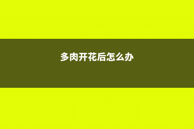 多肉开花后，赶紧咔嚓1刀，否则立马全死光！ (多肉开花后怎么办)