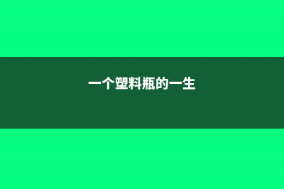 逆天！1个塑料瓶，竟有7种养花大法！ (一个塑料瓶的一生)