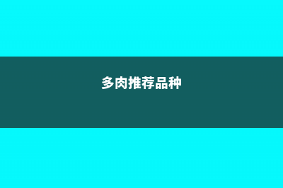 这5种多肉，千万别往叶片喷水，否则喷一盆烂一盆！ (多肉推荐品种)