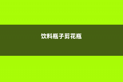 饮料瓶剪1刀，拿来养花，1个月不浇水竟然长疯了！ (饮料瓶子剪花瓶)