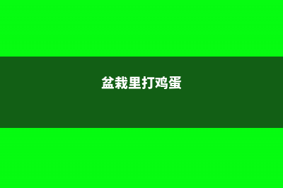 打个鸡蛋扔花盆里，3年不用施肥！ (盆栽里打鸡蛋)