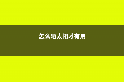 这么晒太阳，难怪你的多肉养一盆扔一盆…… (怎么晒太阳才有用)