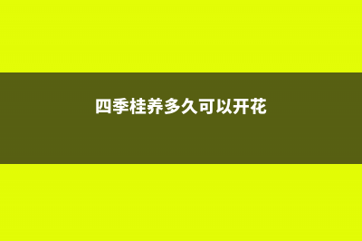 四季桂多久浇一次水 (四季桂养多久可以开花)