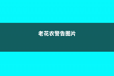 60岁的老花农这样养文竹，不仅年年开花，还结满了种子！ (老花农警告图片)