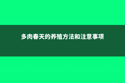 多肉春天这么养，才能蹭蹭长爆盆！ (多肉春天的养殖方法和注意事项)