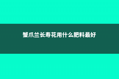 长寿蟹爪兰…开花后剪1刀，养1盆旺1盆，想咋开就咋开！ (蟹爪兰长寿花用什么肥料最好)