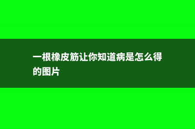 一根橡皮筋，让多肉猛长根，服盆时间快3倍！ (一根橡皮筋让你知道病是怎么得的图片)