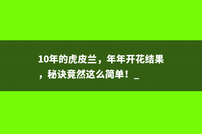 10年的虎皮兰，年年开花结果，秘诀竟然这么简单！ 