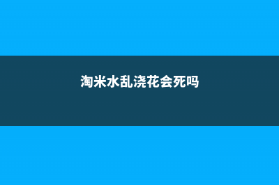 淘米水乱浇花，跟毒药一样，养1盆死1盆！ (淘米水乱浇花会死吗)