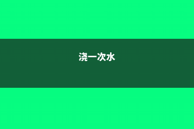 浇水时多做1件事，花嗖嗖疯长，叶子绿油油！ (浇一次水)