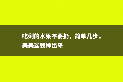 吃剩的水果不要扔，简单几步，美美盆栽种出来 