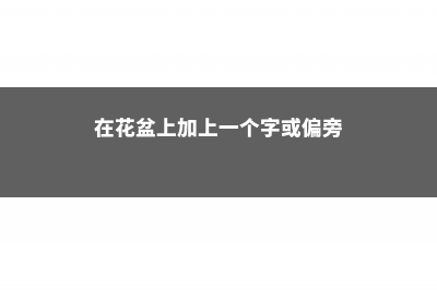 盆里加点它，花像吃了激素，蹭蹭狂长爆盆！ (在花盆上加上一个字或偏旁)