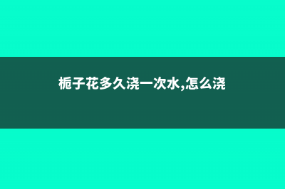 栀子花多久浇一次水 (栀子花多久浇一次水,怎么浇)