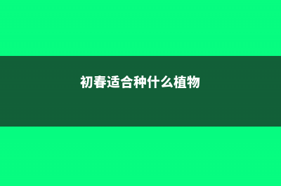 初春养花牢记这5点，否则养1盆死1盆！ (初春适合种什么植物)