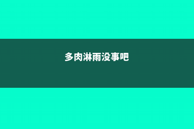 多肉淋“雷雨”，竟然疯长爆盆，狂窜成葡萄串！ (多肉淋雨没事吧)