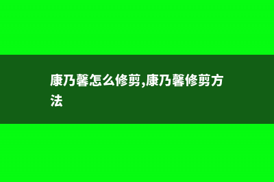 康乃馨怎么修剪 (康乃馨怎么修剪,康乃馨修剪方法)