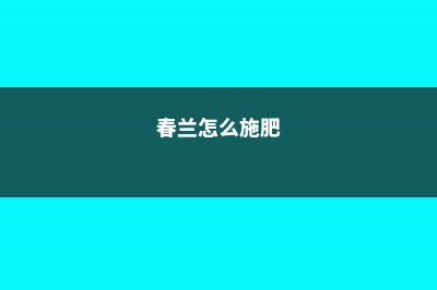 春兰怎么施肥 (春兰怎么施肥)